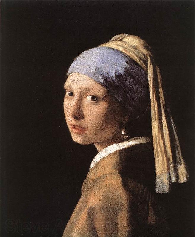 Jan Vermeer Girl with a Pearl Earring Germany oil painting art